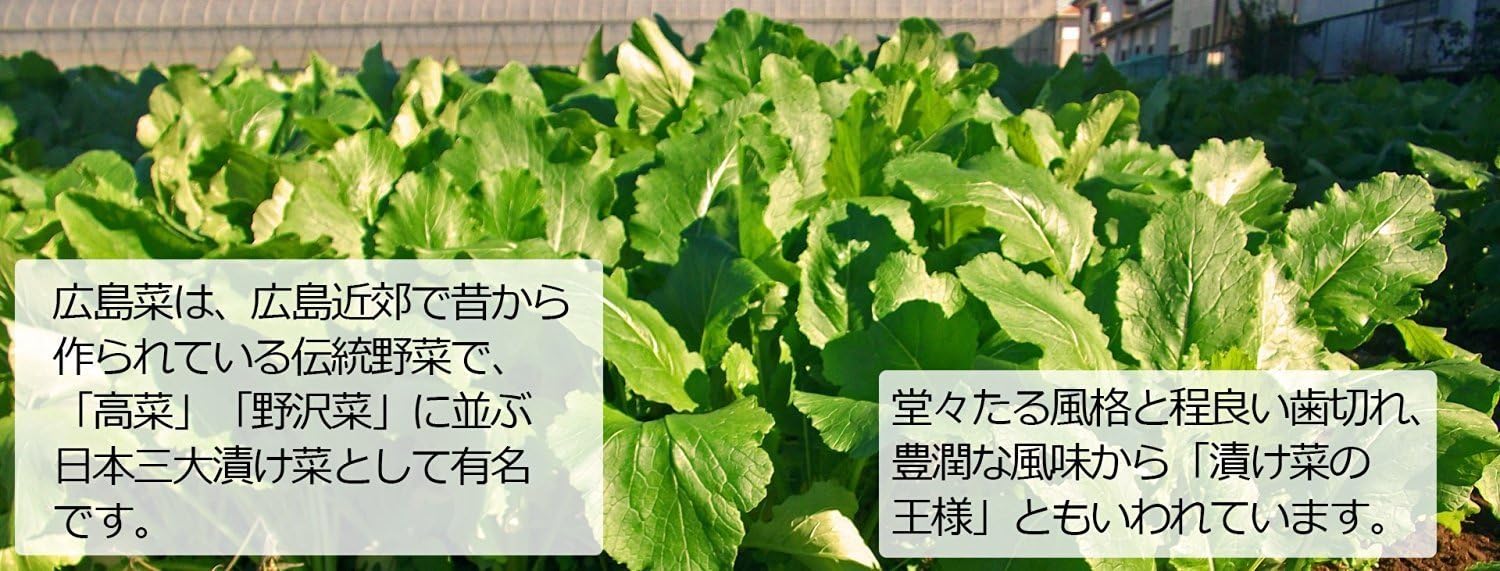 Green Perilla Hiroshima Vegetables (Chopped Japanese Pickles), 3.5 oz (100 g) Bag