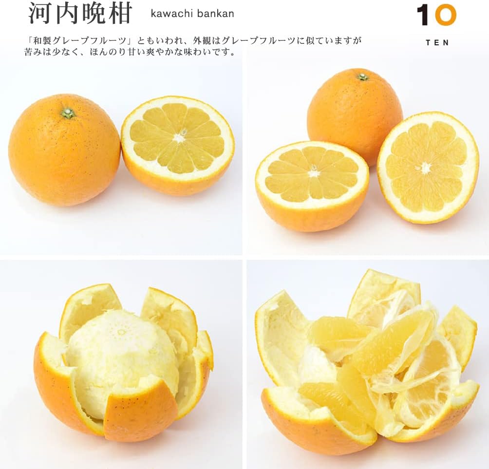 10FACTORY Ehime Mikan 100% Fruit Juice, Additive-Free, Straight Juice, 1 Bottle (24.3 fl oz (720 ml)), Made in Ehime, High Quality, Made in Japan (Kawachi Bankan)