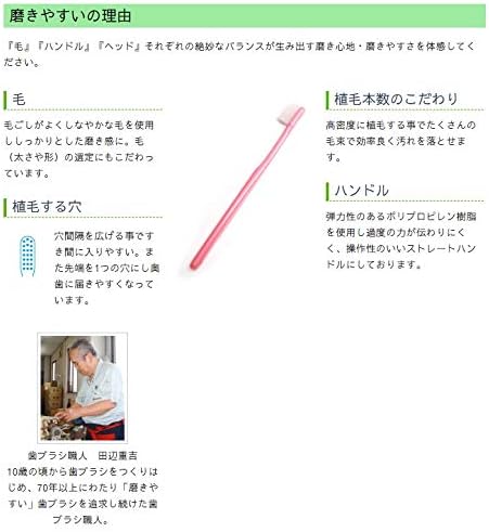 (24 Pieces) Toothbrush Artisan Shigeyoshi Tanabe Initiated Easy to Polish Toothbrush, Fine Point, Set of 6 x 4 Pieces