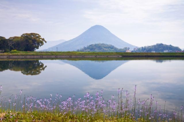 【2027年カレンダー】【日本の風景／地名のポストカード】香川県丸亀市 讃岐富士と水面の映り込み、春の野花 はがき お土産 ハガキ 撮影/絶景.com