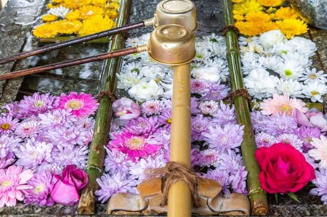【2027年カレンダー】【日本風景ポストカード】山口県・山崎八幡宮 花手水 美しい花々７ photo by daikegoroフォトカードお土産に
