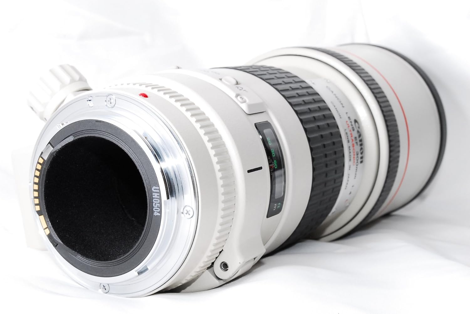 Canon EF 300 mm F4 L USM