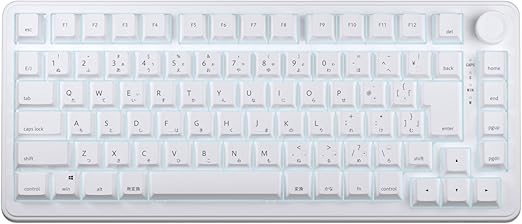 AIM1 Shun MATATAKI Rapid Trigger 8000Hz Polling Rate Wired 75% Size Backlit LED Gaming Keyboard Magnetic Switch (Japanese Array)