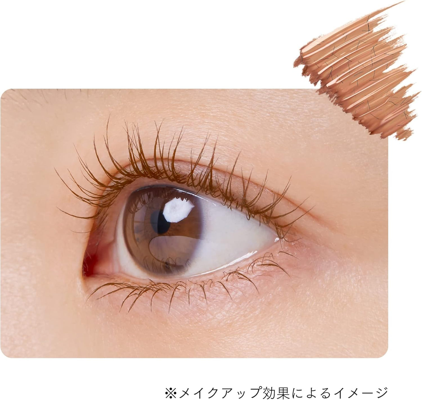 ettusais Eye Edition (Mascara Base) LE07 Clear Brown Eyelash Makeup Base Mascara Base Waterproof Formula 6g