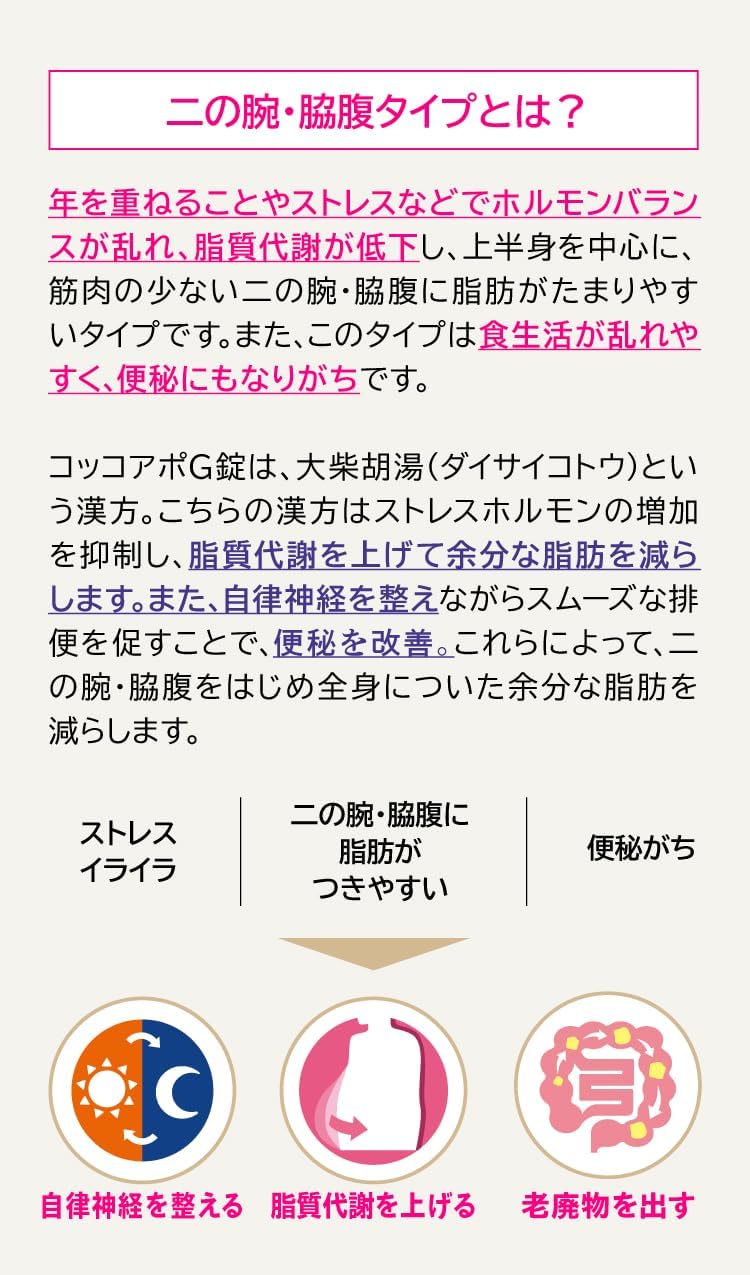 【第2類医薬品】コッコアポG錠 312錠