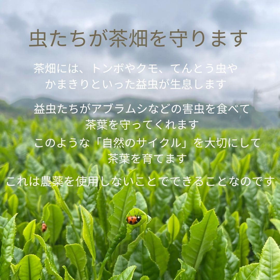 Brown Rice Tea with Matcha, 7.1 oz (200 g), Leaf Organic Tea, 100% Domestic Organic Tea, 50 Years Old, Nagata Tea Garden