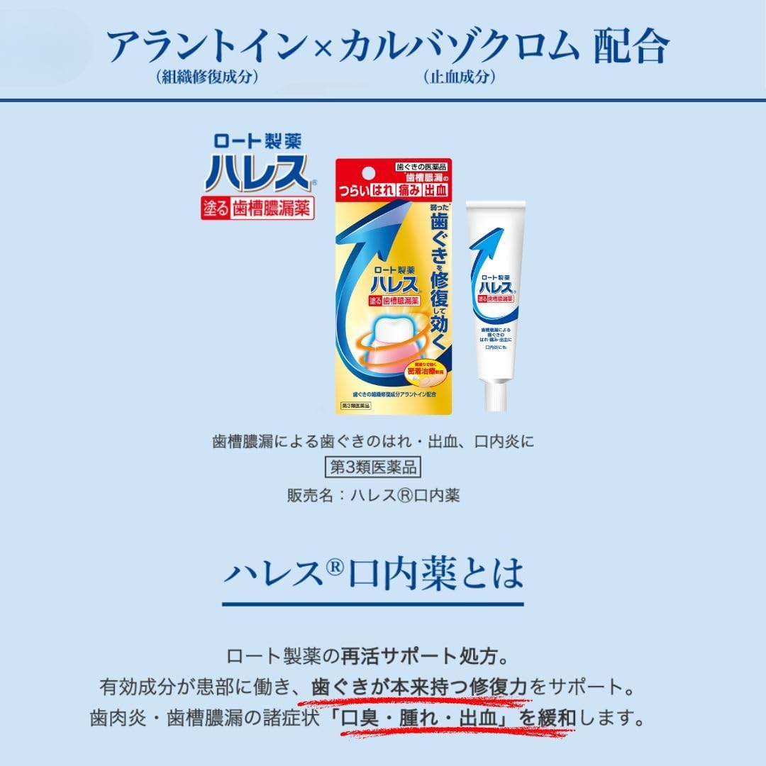 【第3類医薬品】ハレス口内薬 15g