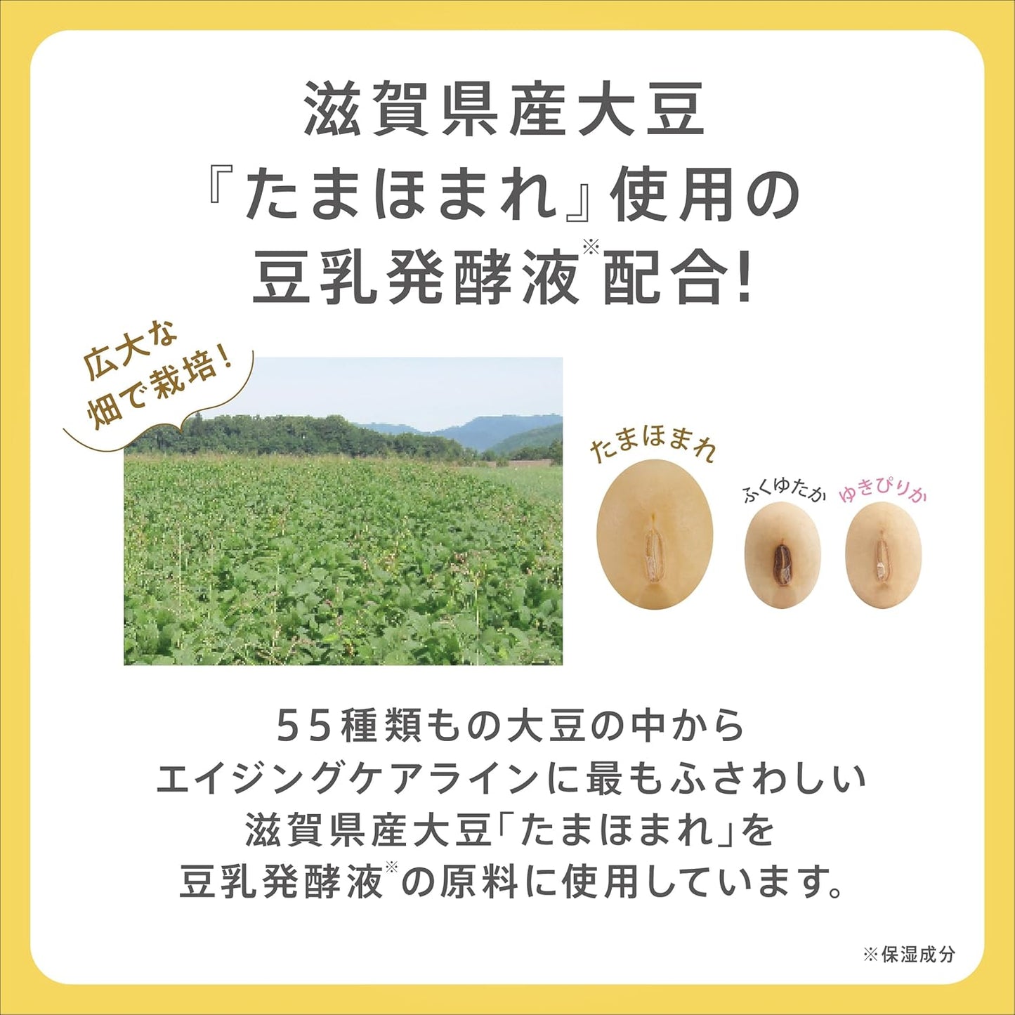 Nameraka Honpo Wrinkle Night Cream + Bonus 1.8 oz (50 g) Soy Milk Isoflavone, Pure Retinol (Moisturizing)