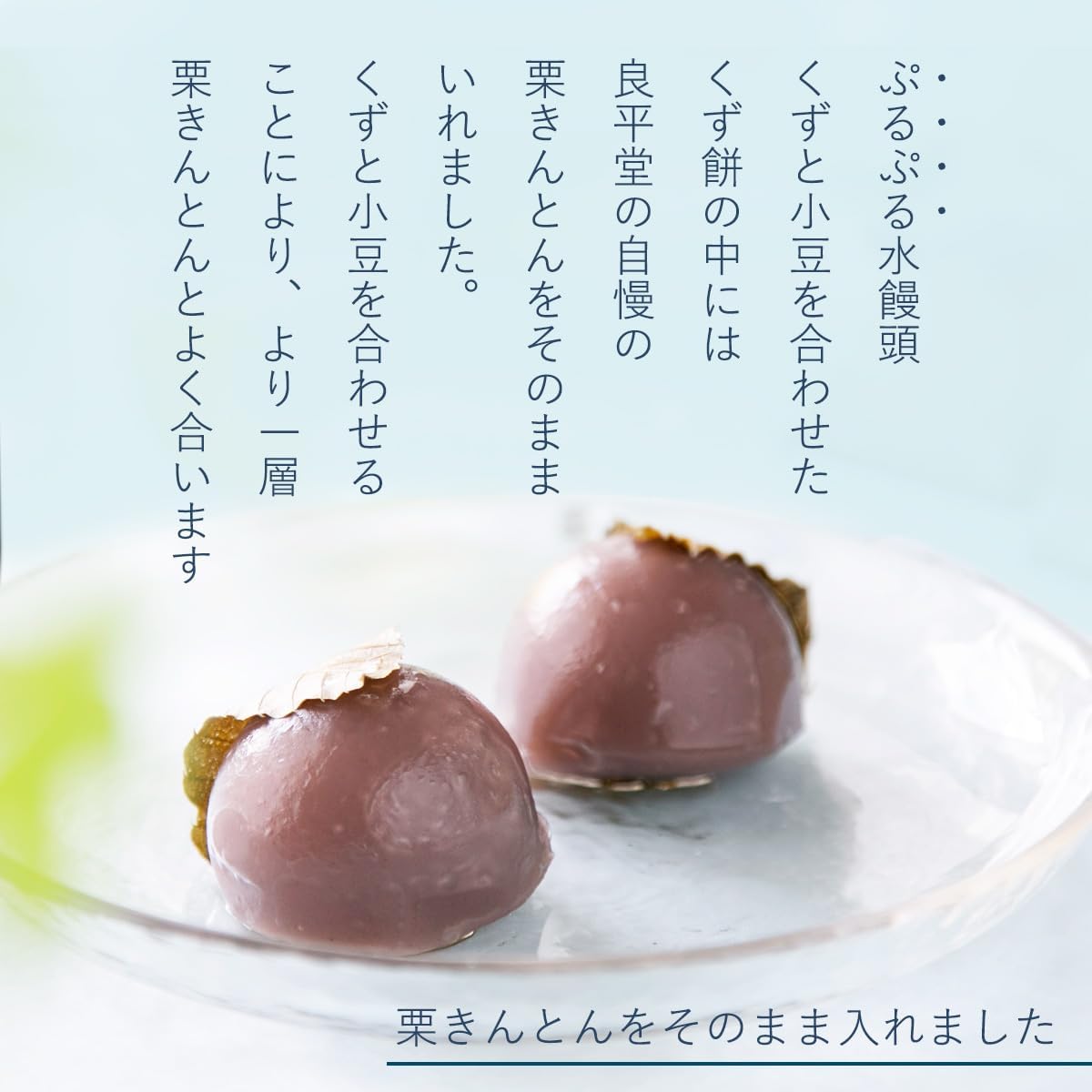 【Sweets Grand Prix Award Winner】Year-end Gift New Year Gift Ryoheidou Chestnut Kinton Water Manjuu Gift (6 pieces) Premium Japanese Confectionery Water Manjuu Souvenir Sweets Japanese Chestnuts