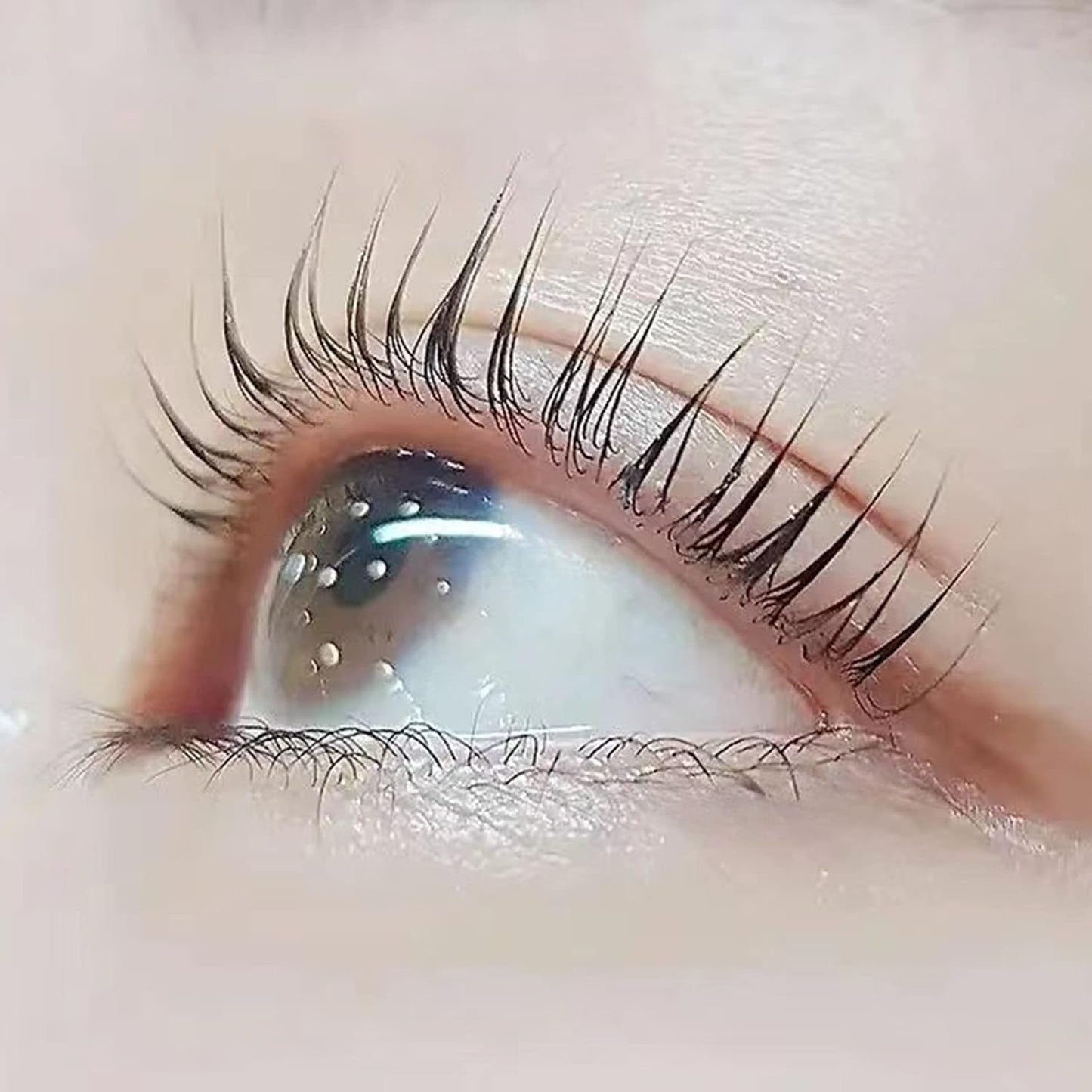 False Eyelash Curl Set Cream 5 Bags Set (STEP1/STEP2)