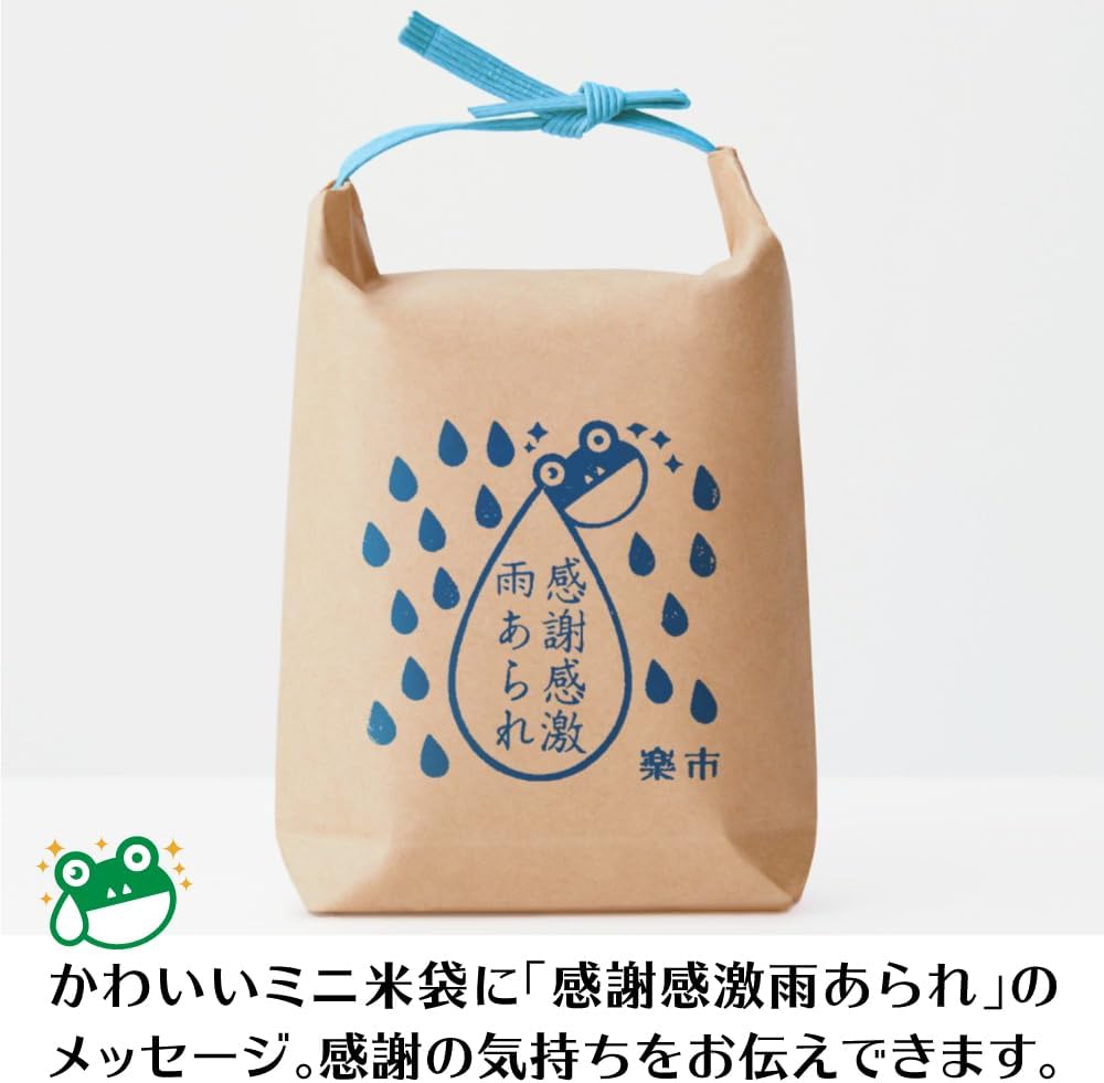 Okashi Rakuichi Kansha Kangeki Amearare Arigatou Arare Combination Set Rice Bags 10-Pack (Dashi Soy Sauce 10-Pack) Okak Individually Wrapped Hail Message Summer Gift Retirement Job Change Snacks Petit