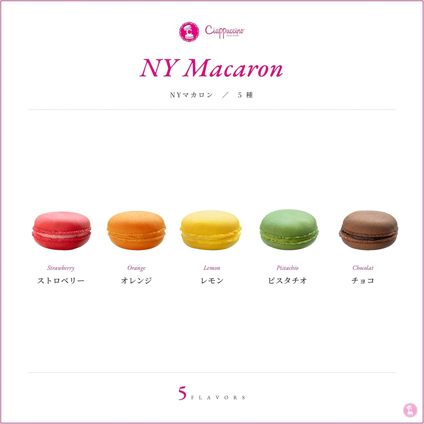 Father's Day Gift Factory Thin Chapuccino NY Macaron (Pack of 5), Candy Present, Assorted, Includes Carry Bag