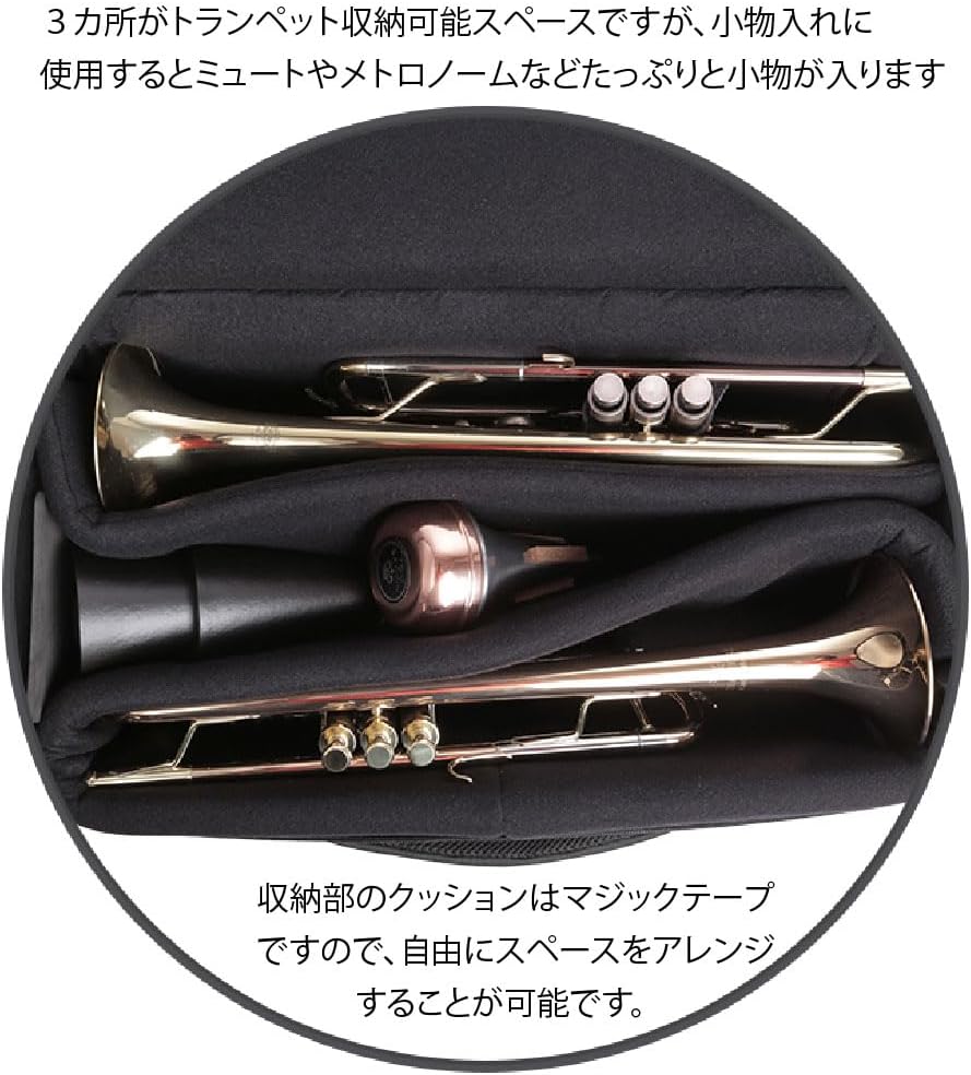 CURTIS Trumpet Double/Triple Case, Black, Casual