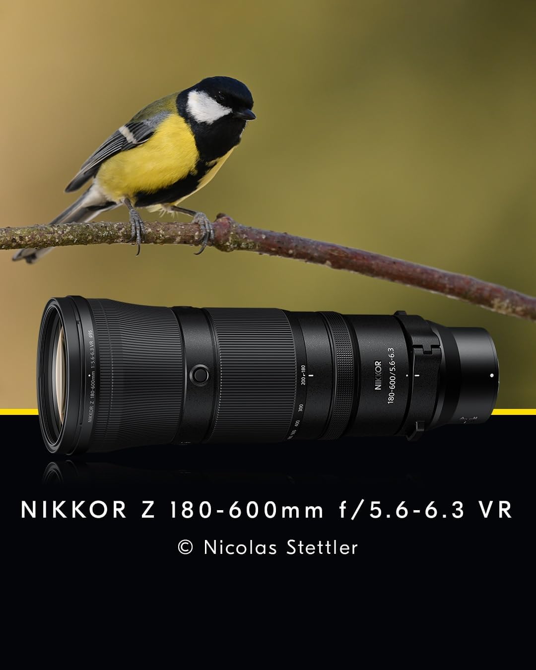 Nikon Telephoto Zoom Lens NIKKOR Z 180-600mm f/5.6-6.3 VR Z Mount, Full Size