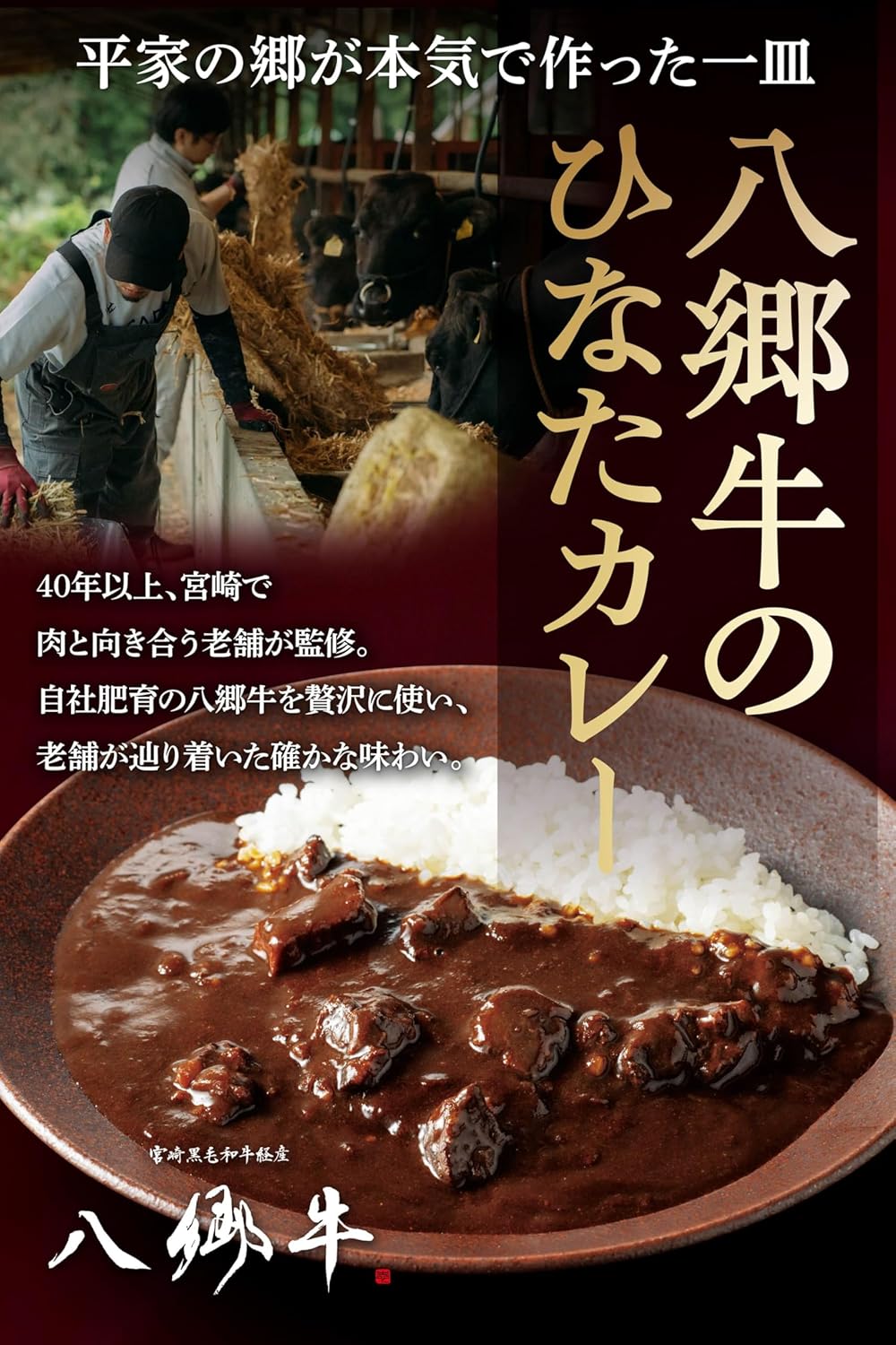 平家の郷 監修 八郷牛 ひなた ビーフカレー 180g レトルト 高級カレー ギフト 贈答 宮崎 ブランド和牛 100％使用 中辛 レトルトカレー 父の日