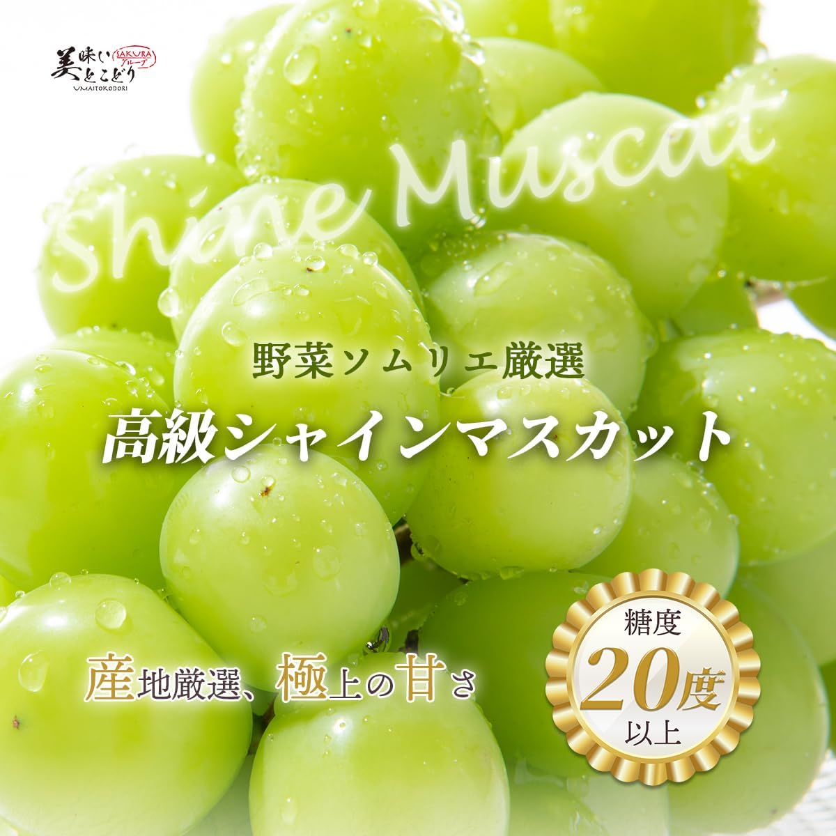 Delicious Tokodori, Made in Yamanashi Prefecture, Luxury Gift, Shine Muscat, High Sugar Average Exceeds 68°F (20°C) (36 Capsules), Supervised by Fruit Meister, Compatible with Irons