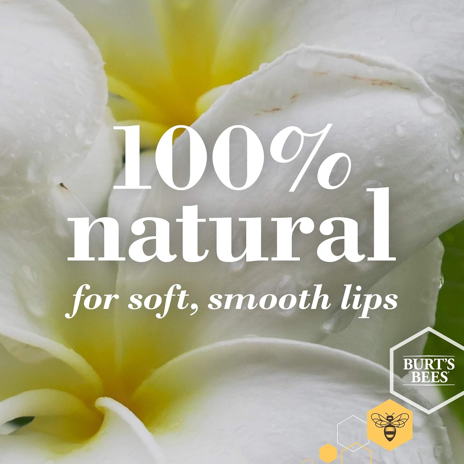 Burt's Bees Mantequilla de labios de origen natural 100% con manteca de karité y cacao, lavanda y miel, 1 lata