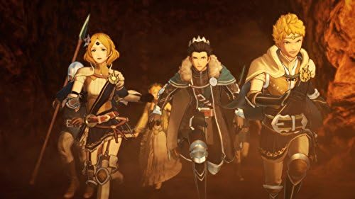 Newニンテンドー3DS専用 ファイアーエムブレム無双 プレミアムBOX