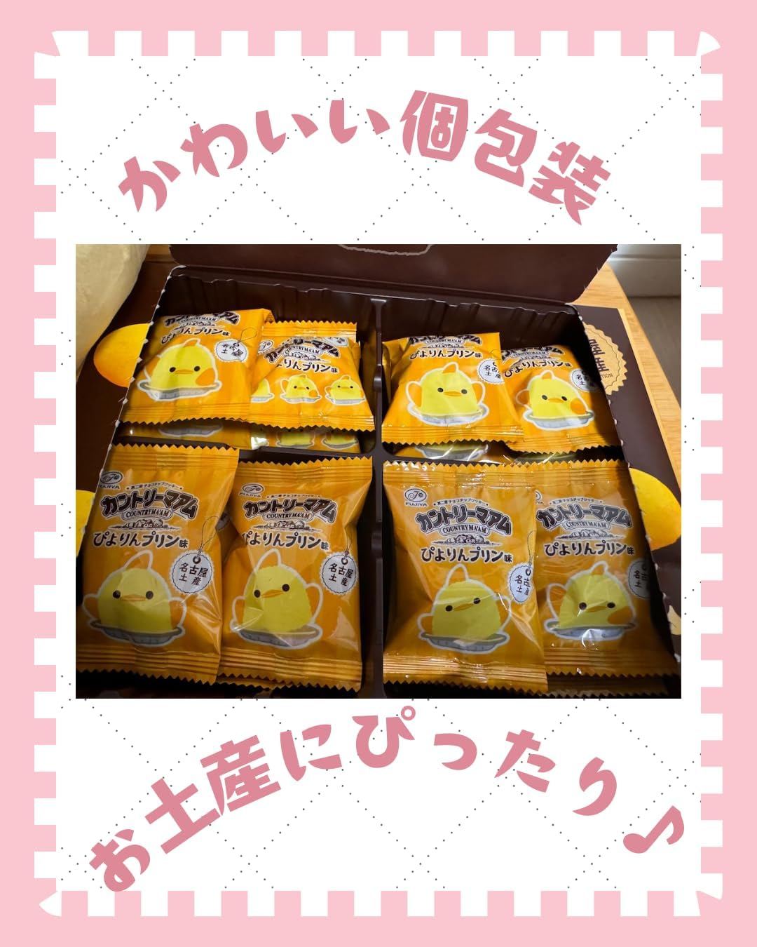 Nagoya Limited Edition Pudding Flavor, Cant Reamam, Pack of 16