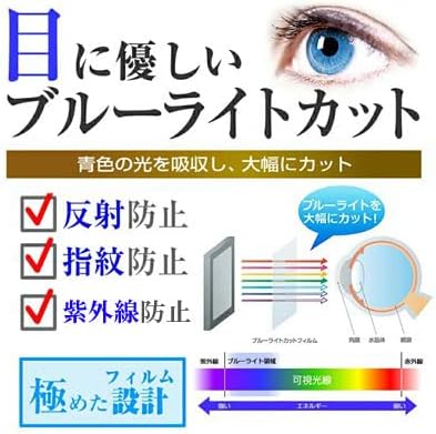 Media Cover Market (Exclusive) Game & Watch Super Mario Brothers Model [Blue Light Cut, Anti-Reflective, Anti-Fingerprint, LCD Protective Compatible Film]