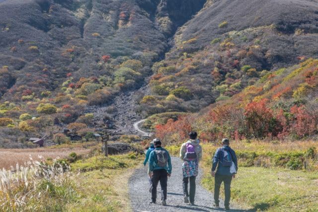 【2027年カレンダー】【日本の風景／地名のポストカード】大分県九重 紅葉に染まる秋のくじゅう登山道 はがき お土産 ハガキ 撮影/daikegoro