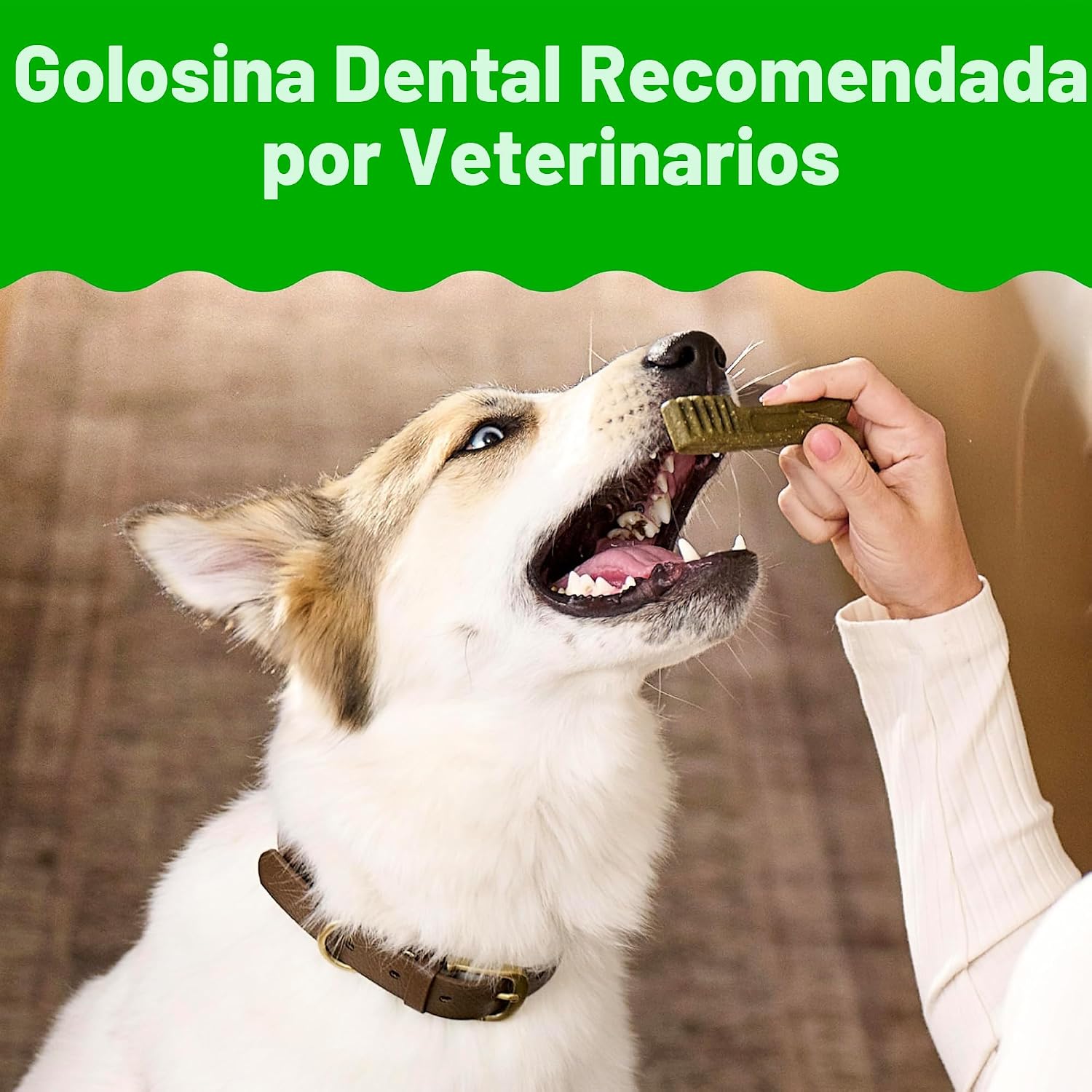 Greenies - Golosinas naturales para la salud dental de perros pequeños, sabor original, paquete de 36 onzas (60 unidades)