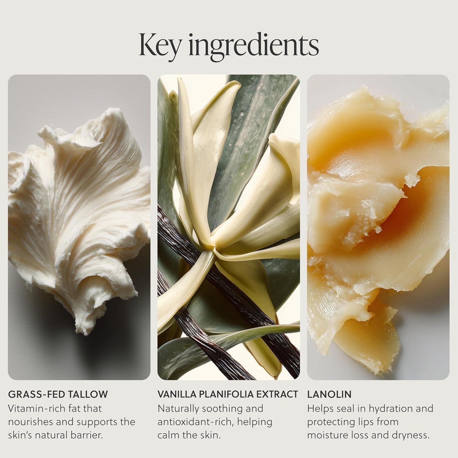 Bálsamo labial de sebo de ganado alimentado con pasto, mascarilla labial para dormir, hidratante nocturno, bálsamo labial hidratante natural y limpio con vitaminas A, D, E y K, nutre y