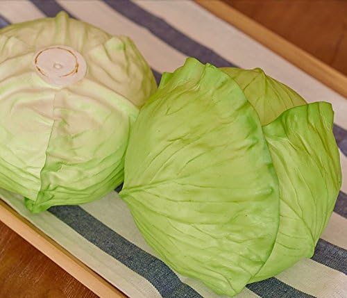 Lifelike Real Vegetable Model Food Model for Food Sample, Interior Display and More Cabbage 1 Piece