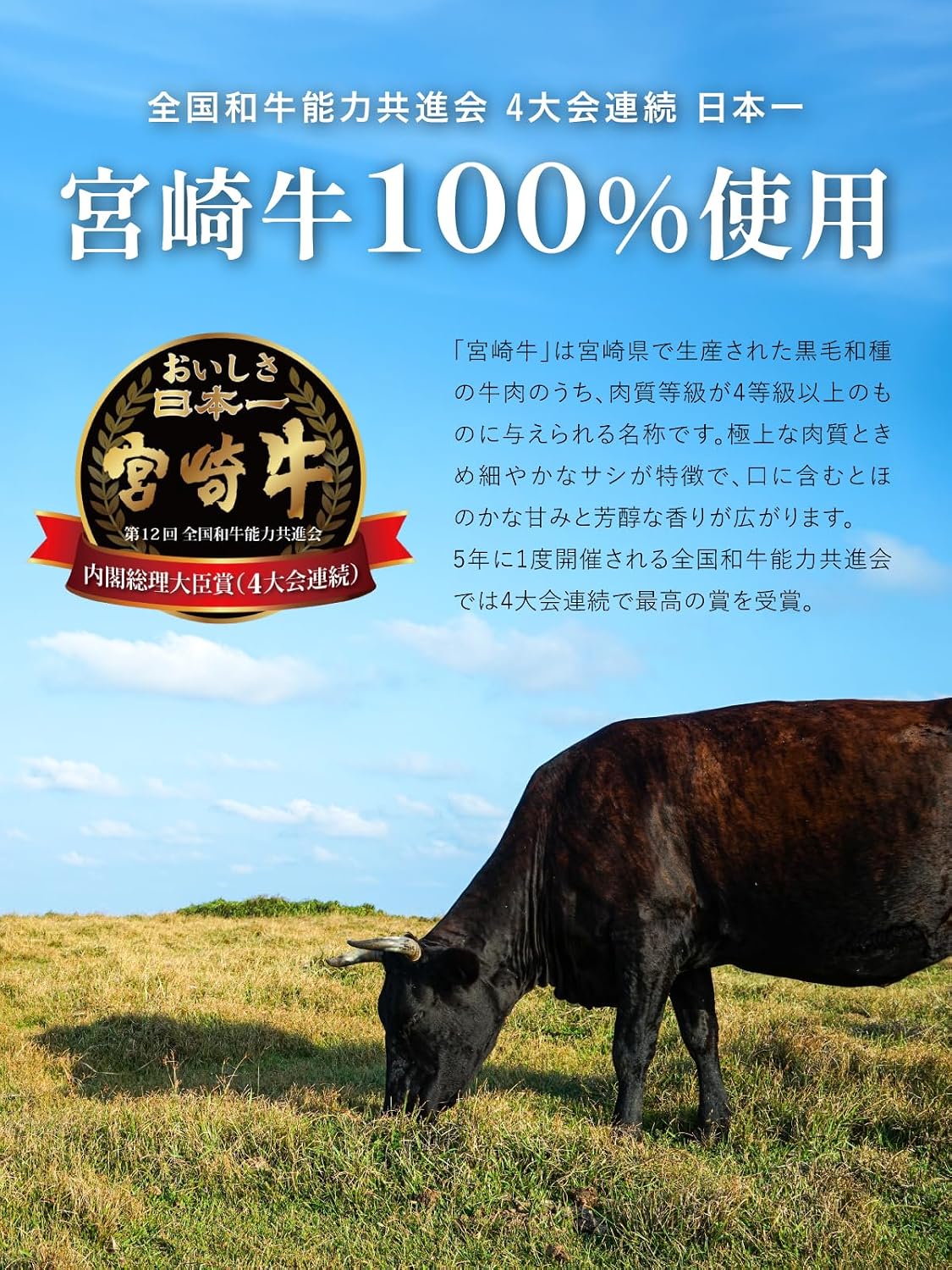 Miyazaki Beef Jerky, 1.1 oz (30 g) x 5 Bag Set, 100% Miyazaki Beef, Premium, Domestically Produced Japanese Beef Jerky, Present, Large Capacity, Snacks, Present, Present, For Years, Events, Emergency