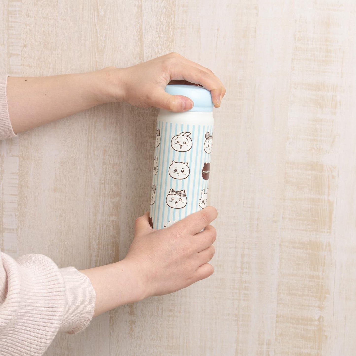 OSK Direct Stainless Steel Bottle 480ml Chiikawa CKW No.5 SBR-480B