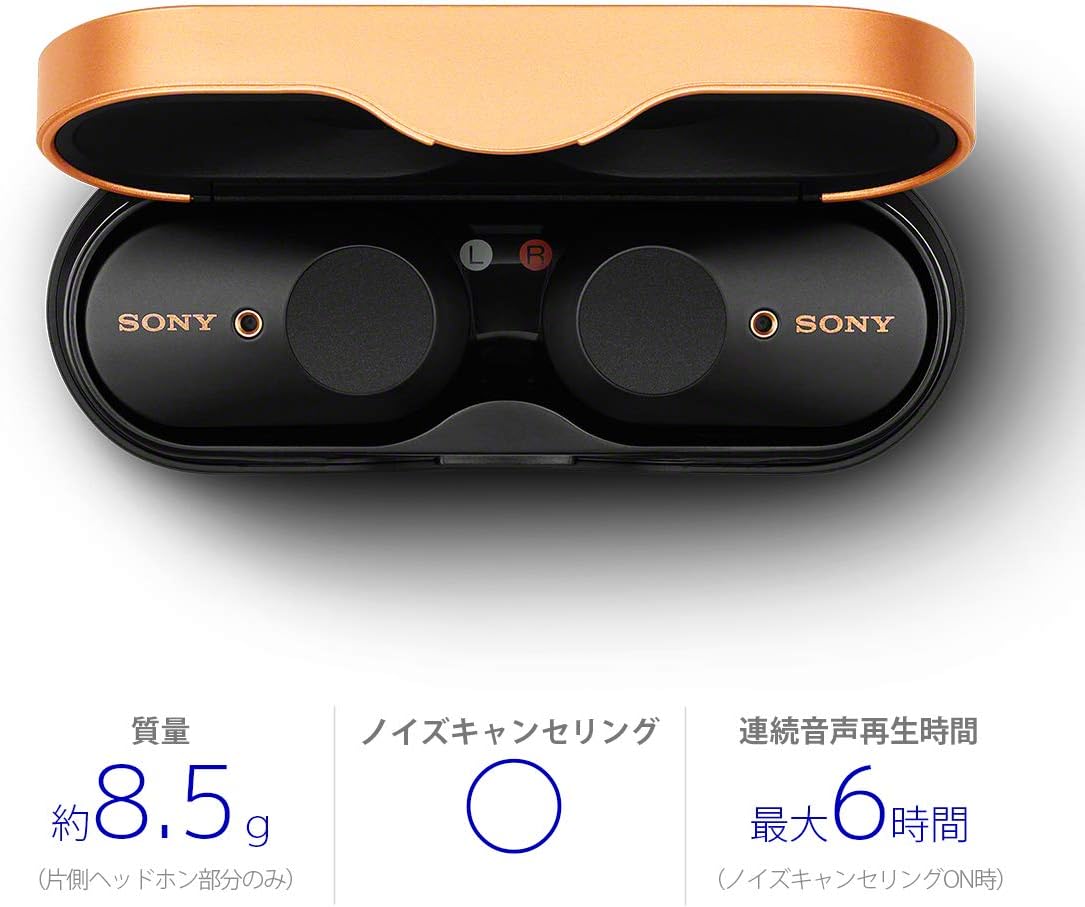 Sony WF-1000XM3 Wireless Noise Cancelling Earbuds, Fully Wireless, Alexa, Bluetooth, High Resolution Equivalent, Up to 6 Hours of Continuous Playback, 2019 Model / Microphone Included, 360