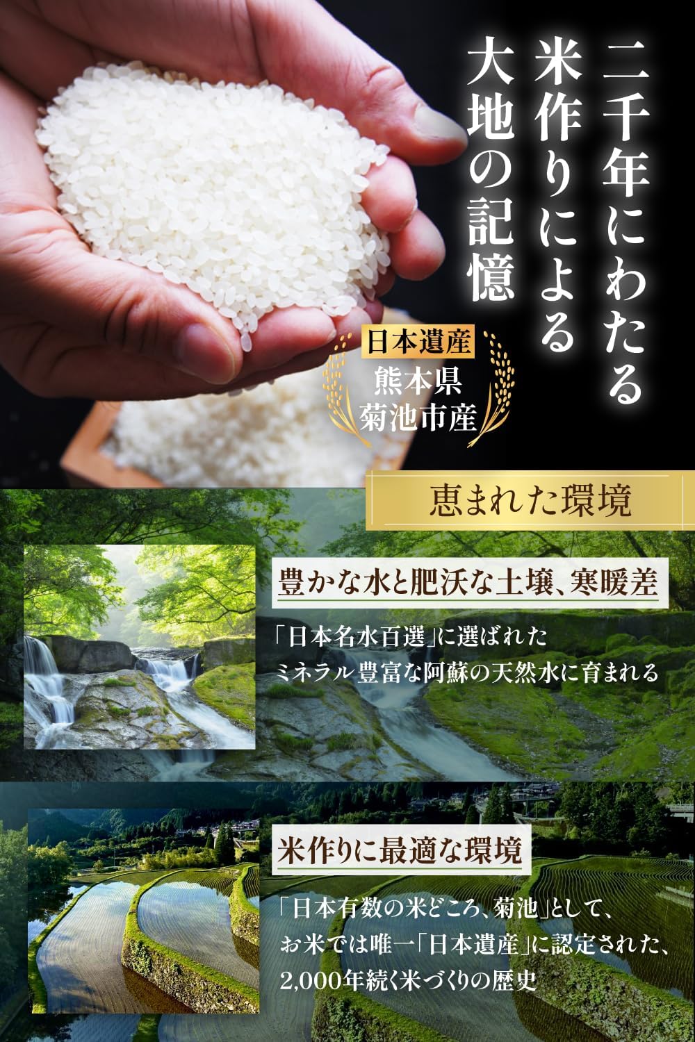 新米予約 令和8年産 白米 27kg ヒノヒカリ 【熊本県産・阿蘇の自然水育ち】