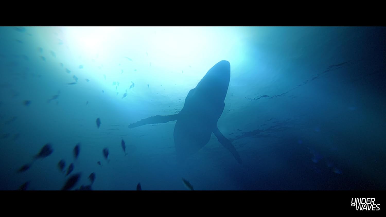 PS5版 Under The Waves