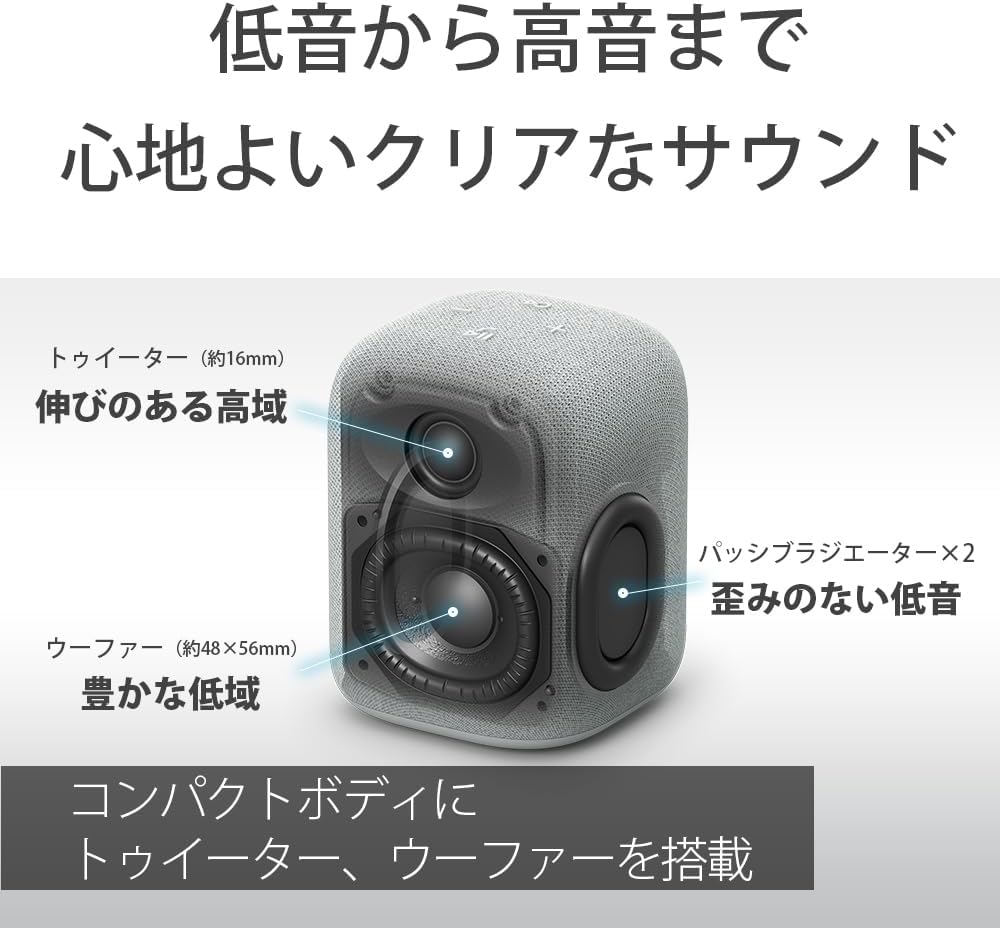 Sony / Wireless Speaker / SRS-LS1 / Compact Body / Clear Sound / 25 Hours Long Battery / Supports Cradle Charging/Hands-free Calling/SRS-LS1 BC Black