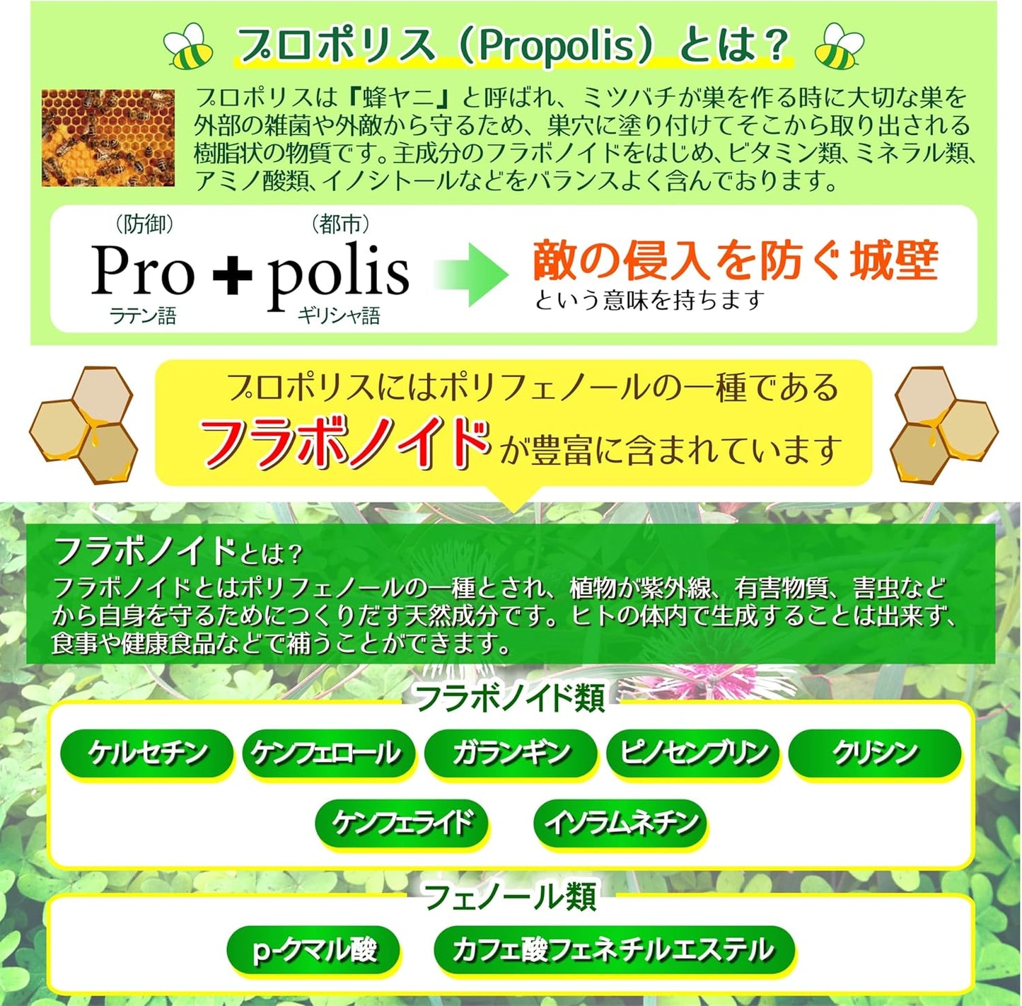 Propolis Queen 330 Capsules (Propolis & Royal Jelly Capsules) 1 Capsule/Pure Propolis Extract 500mg Raw Royal Jelly Equivalent, 150mg Formula, Australia Charmerdale Desensic Acid, Alpha Japan Original