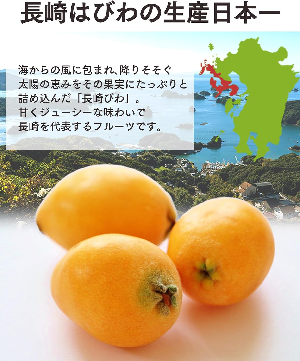 Nagasaki Shinsendo TO9I Fruit Jelly, Biwa Jelly, 8 Pieces, Candy Gift, Made in Nagasaki Prefecture, JA All Agricultural
