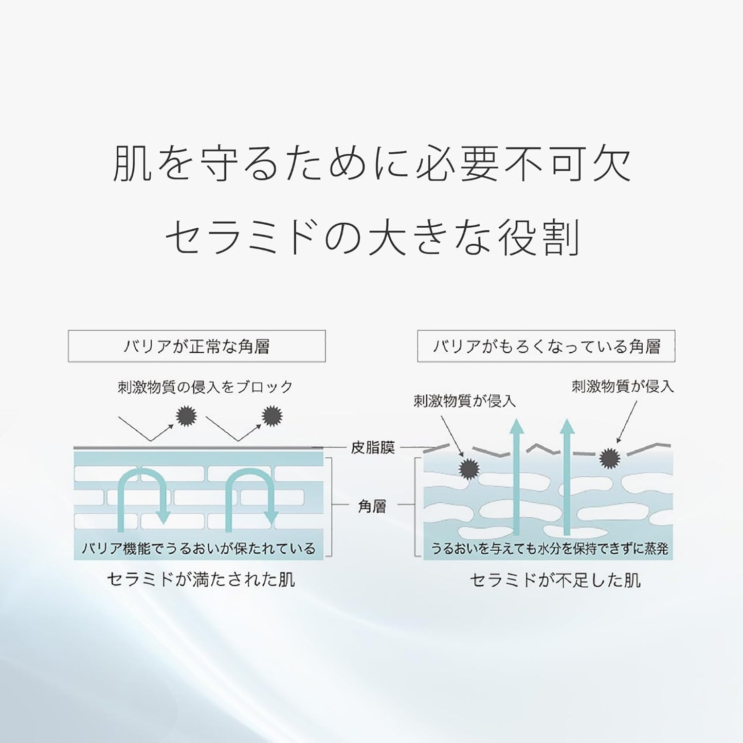 Tout Vert Nano Emulsion Deep, 2.1 fl oz (60 ml), Ceramide, High Concentration 12%, Dry Skin, Sensitive Skin, Rough Skin, Highly Moisturizing