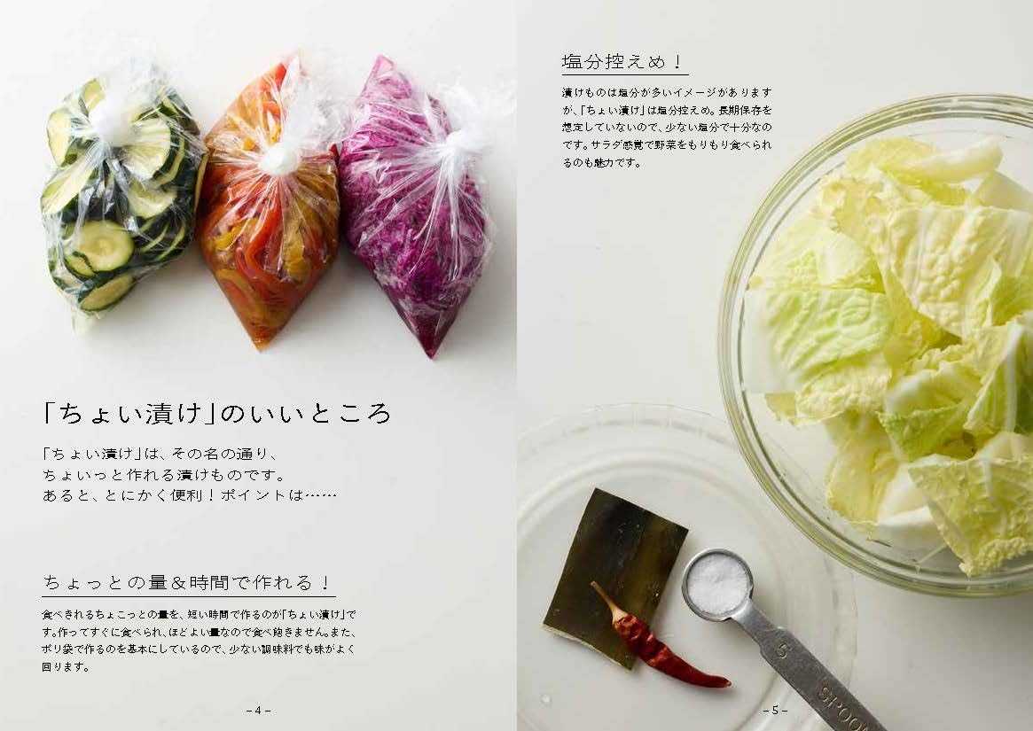 ちょい漬け ～サクッと作れて、ピタッと食べきる！