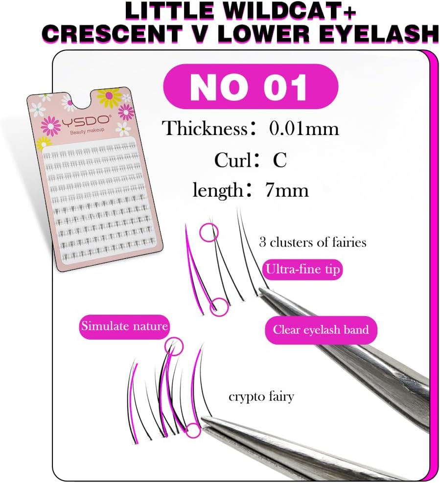 NO1 False Eyelash Parts, Large Capacity, Natural, Everyday Makeup, Stage Use