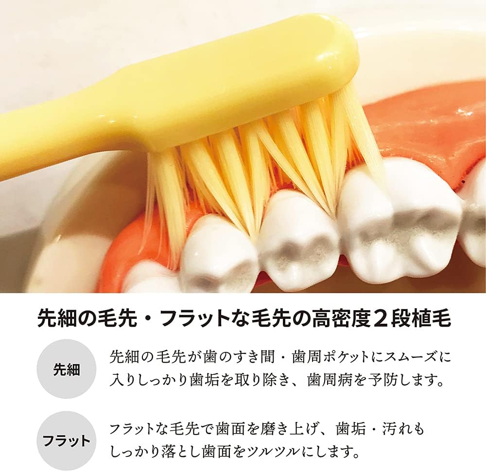 Toothbrush Craftsman Lifelange Easy to Clean Toothbrush, Set of 4, Designed by Shigekichi Tanabe