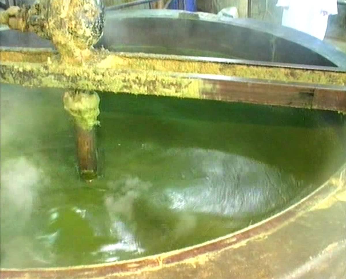 オリーブとローレルの石鹸 ノーマル 200ｇ×2個 【アレッポの石鹸 職人 からの贈り物】 [並行輸入品]