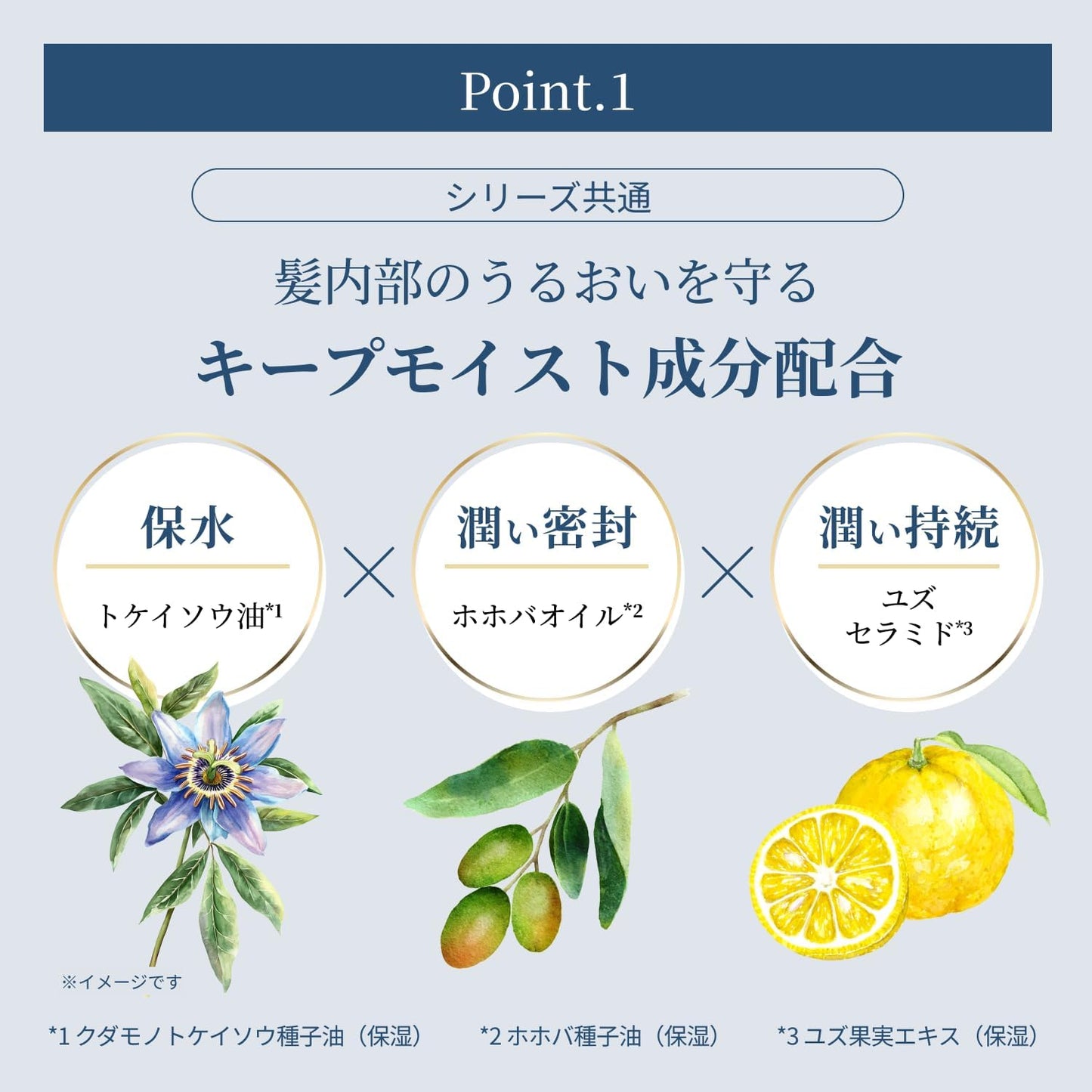 T/MEU Keep Moist Hair Oil, Glossy, Non-Rinse Treatment, Clear Fleur Scent, 2.8 fl oz (80 ml)