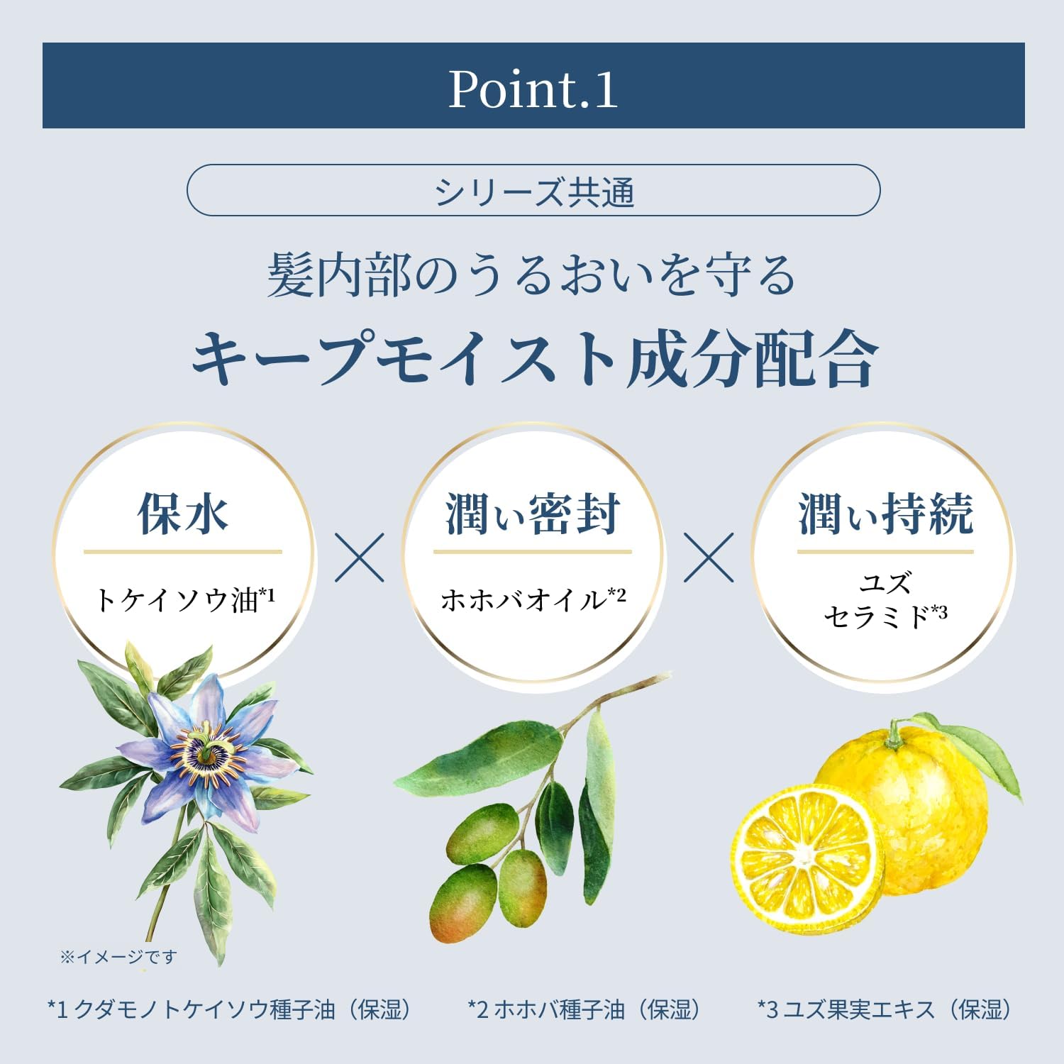 T/MEU Keep Moist Hair Oil, Glossy, Non-Rinse Treatment, Clear Fleur Scent, 2.8 fl oz (80 ml)