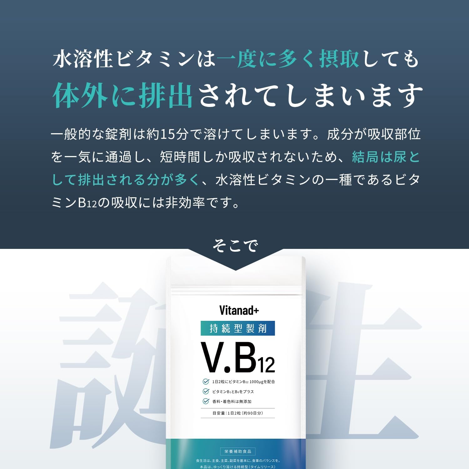 Sustained Release Vitamin B12 (1 Day Vitamin B12 1000μg / 180 Tablets) Supplement Vitamin B12 Made in Japan Nutritional Functional Food Vitanad+ (Vitanad+)