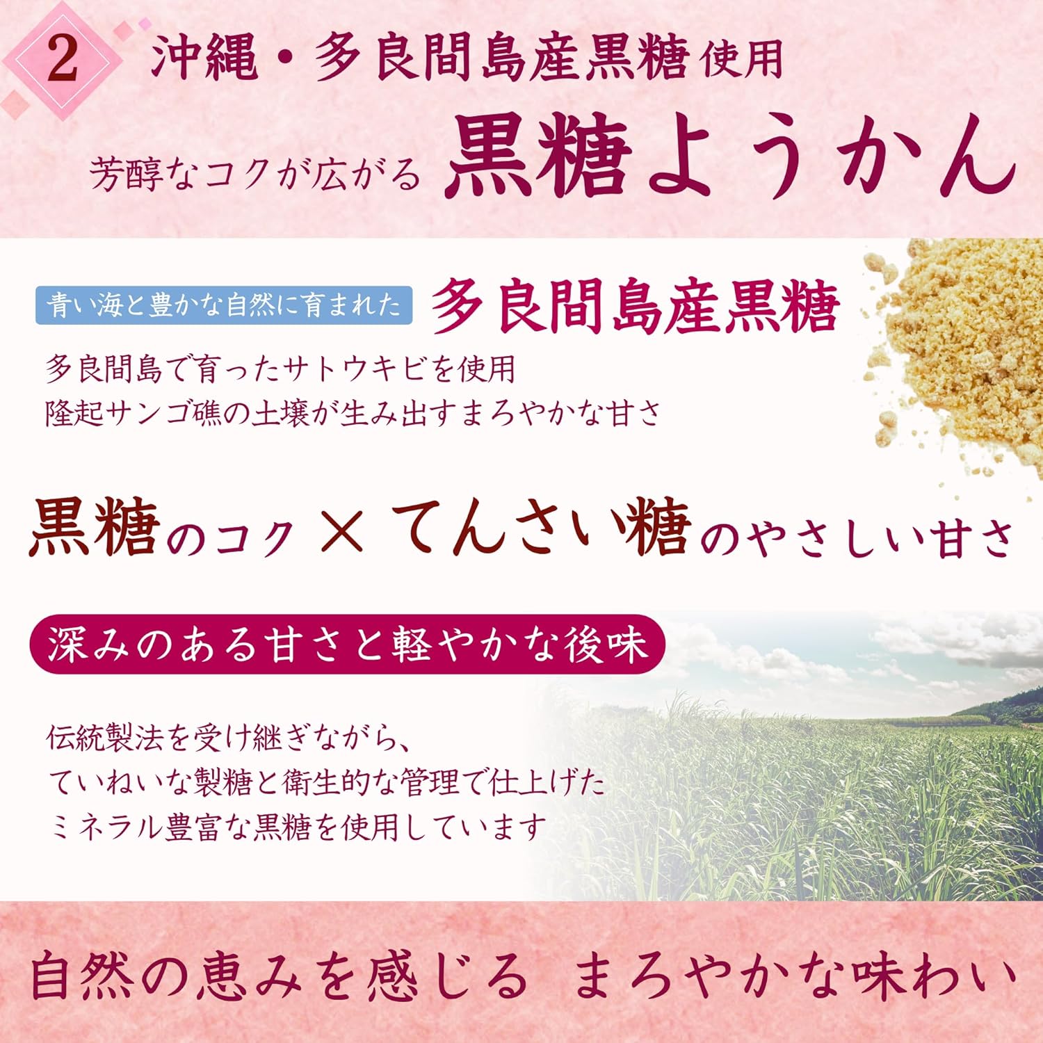 Wellsweet Mini Yōkan Set (Salt/Brown Sugar/Strawberry) Yōkan Hokkaido Small Red Beans × Cane Sugar 20g×18pcs