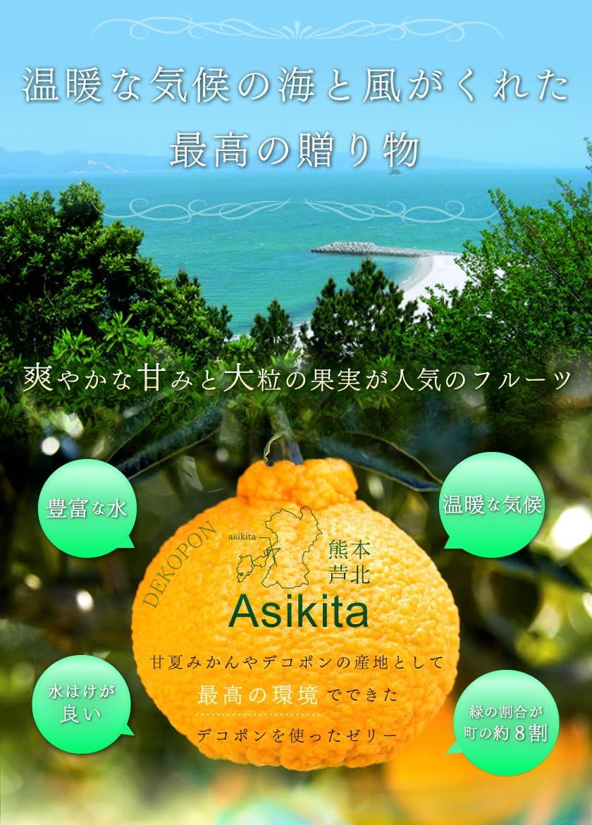Kumamoto Kabo Dekopon Jelly Produced in Ashikita, Kumamoto Prefecture, 9 Pieces (Gift Boxed), Assorted Jelly Gift