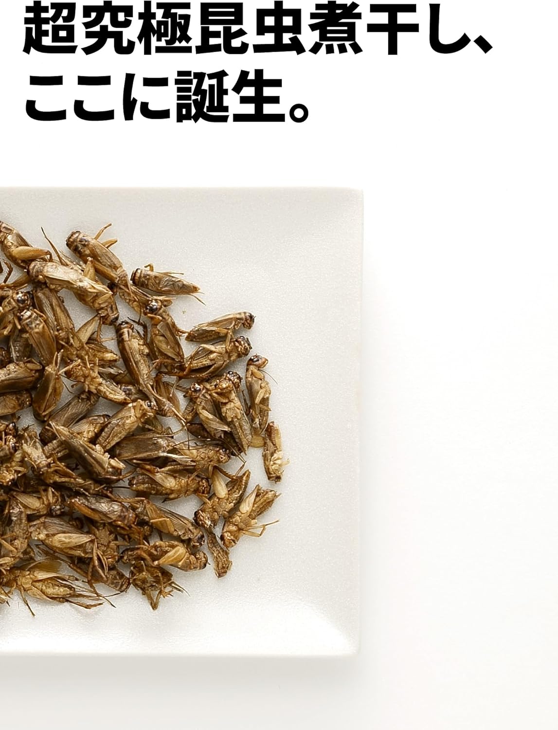 TAKEO FUTURENAUT Gumma-chanko Grape, Super Ultimate Insect Dry, Boiled and Dried, 0.2 oz (5 g), Edible Size, Mini Pack, Premium, Produced in Gunma Prefecture, Japanese Insects, Ready to Eat, Insect Snack, Beginners, Gift, Punishment Game Not Recommended