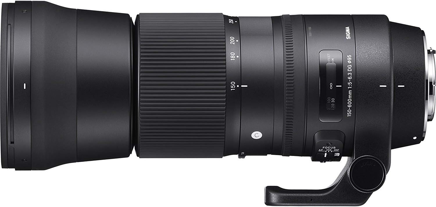 Sigma 150-600mm F5-6.3 DG OS HSM | C