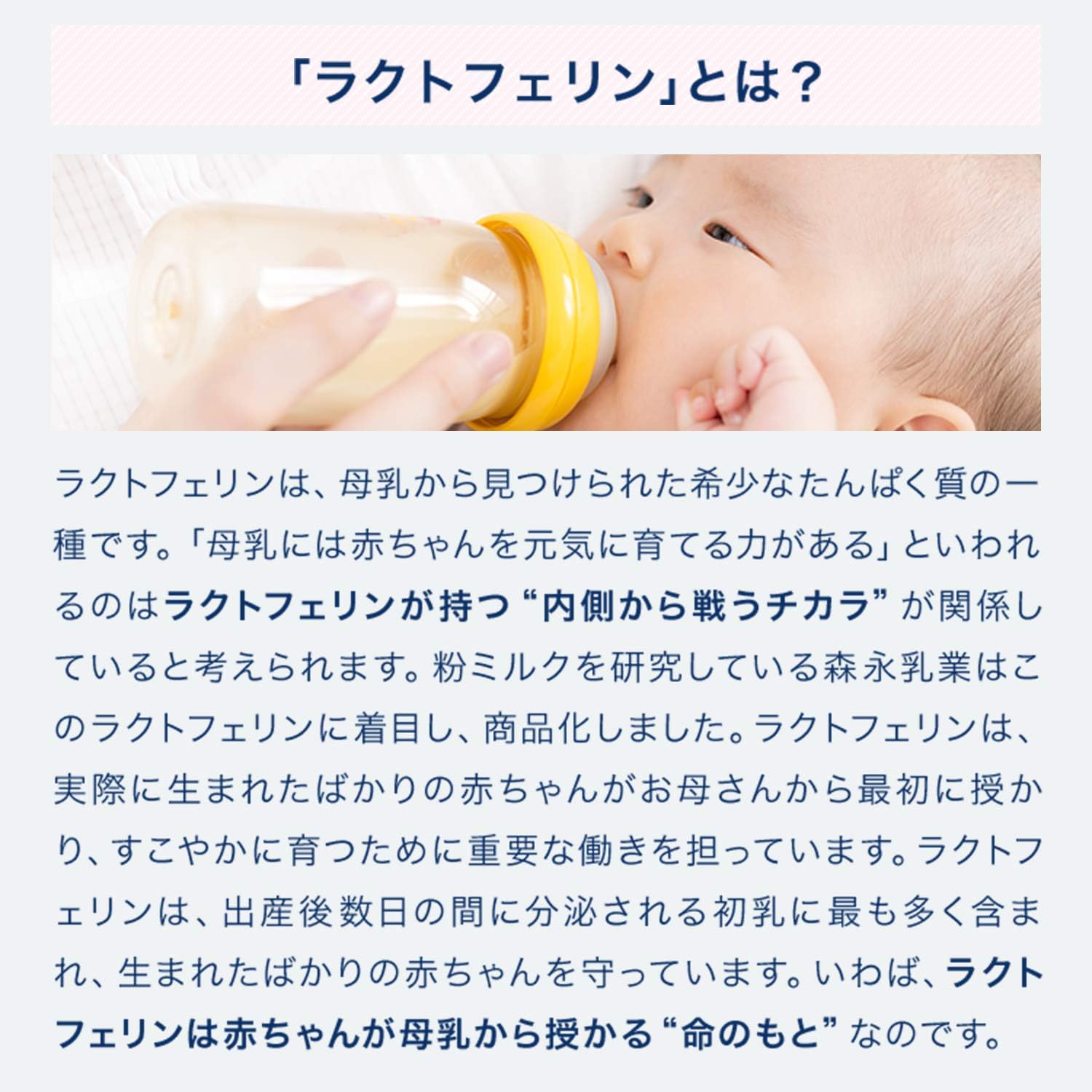 【Morinaga Milk Industry Official】Lactoferrin Original [ Lactoferrin Supplement for Health Maintenance ] 90 Tablets/1 Bag with Mini Calendar
