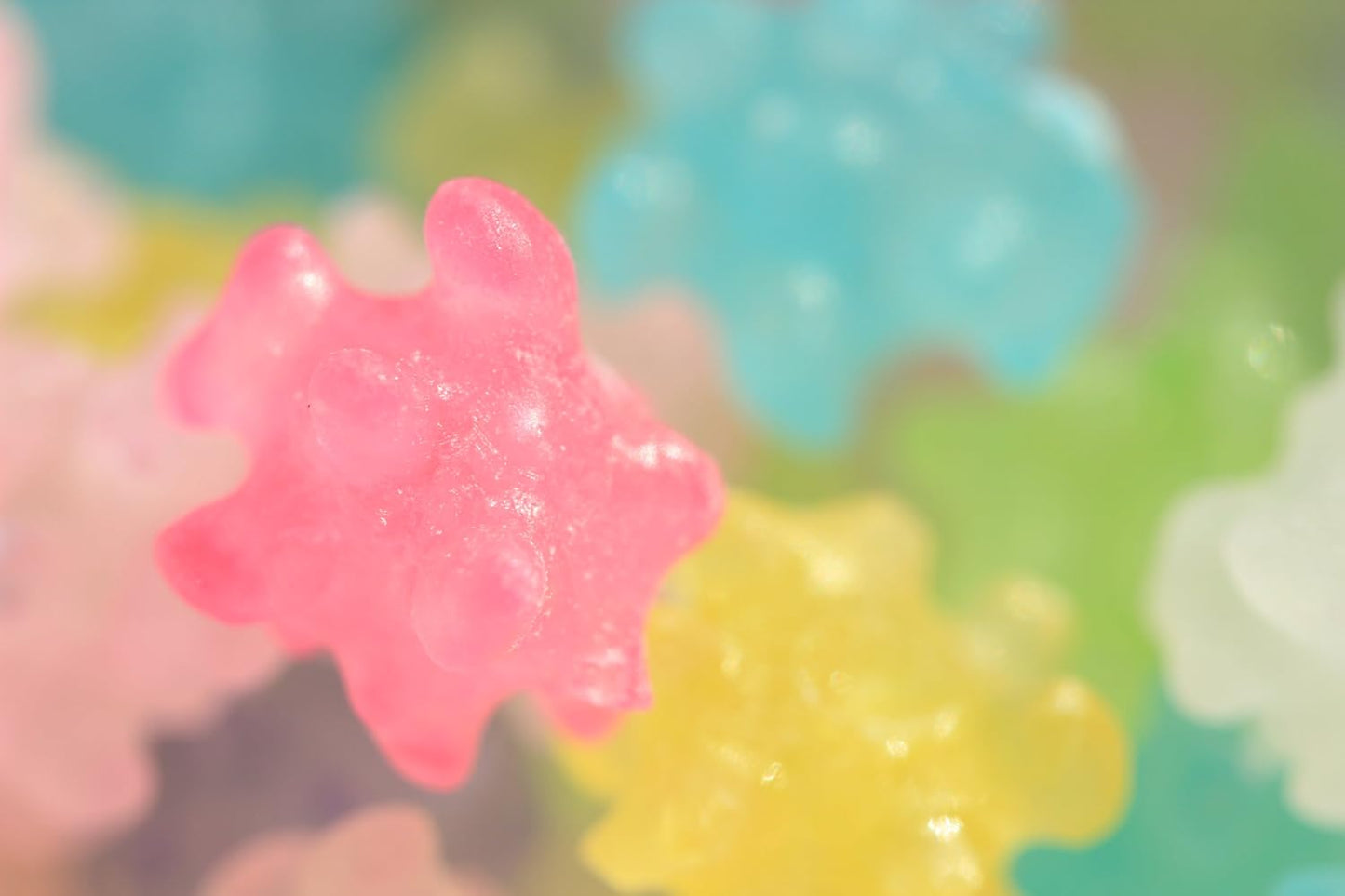 Canon 単焦点マクロレンズ EF-S60mm F2.8マクロ USM APS-C対応